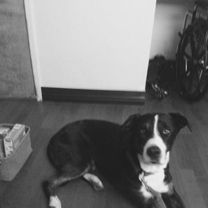 Meet your Posher, Kris